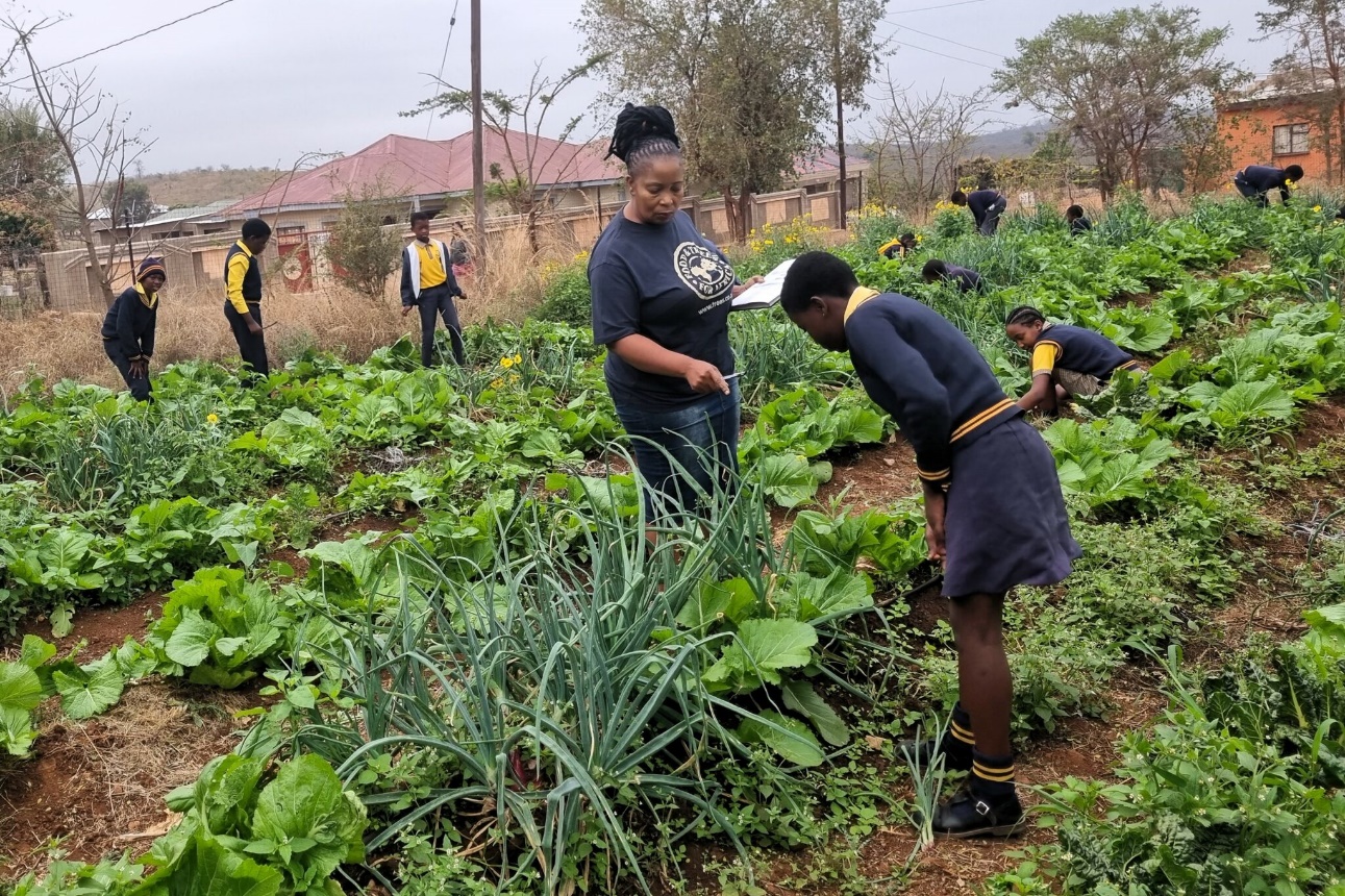 EduPlant_empowers_schools